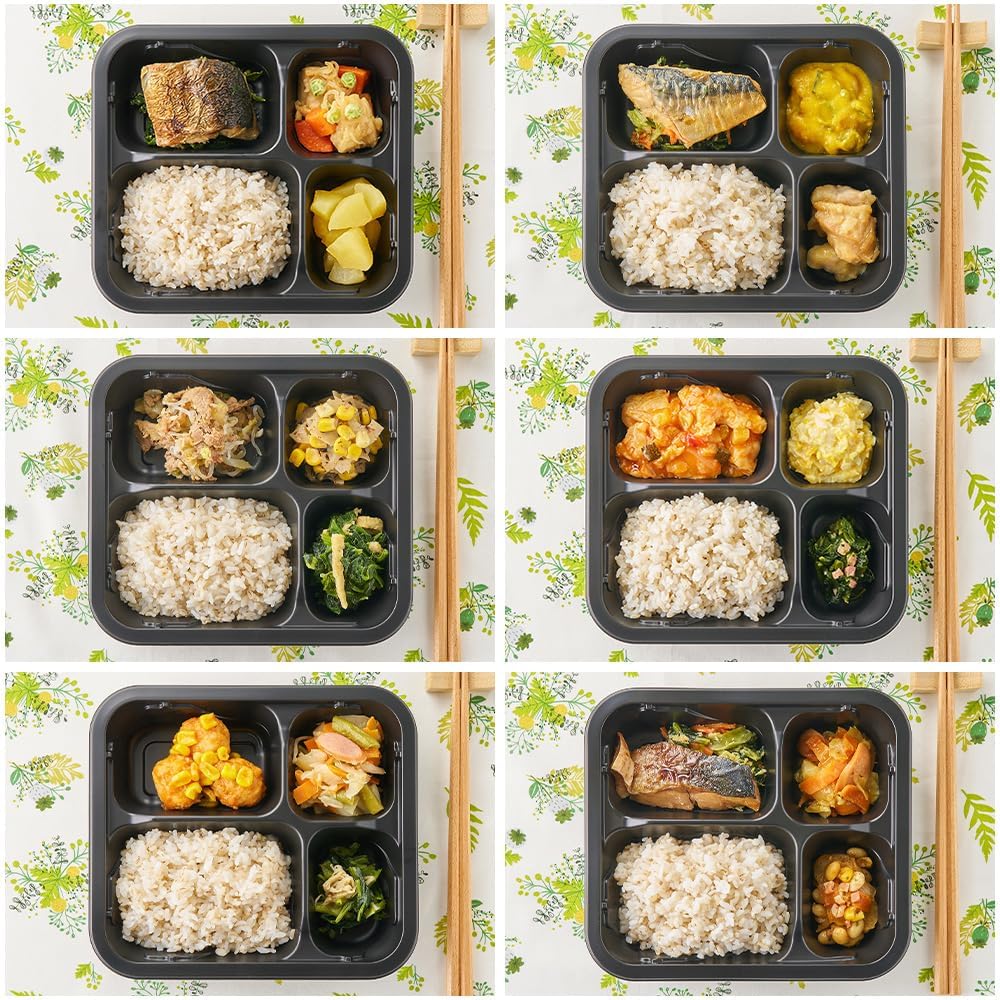 Magokoro Bento (10 Servings Set with Rice), Frozen Bento Box, Frozen Bento, Frozen Bento with Rice, Frozen Bento Box, Magokoro Care Food, Menu by a Managed Dietitian, Easy to Microwave