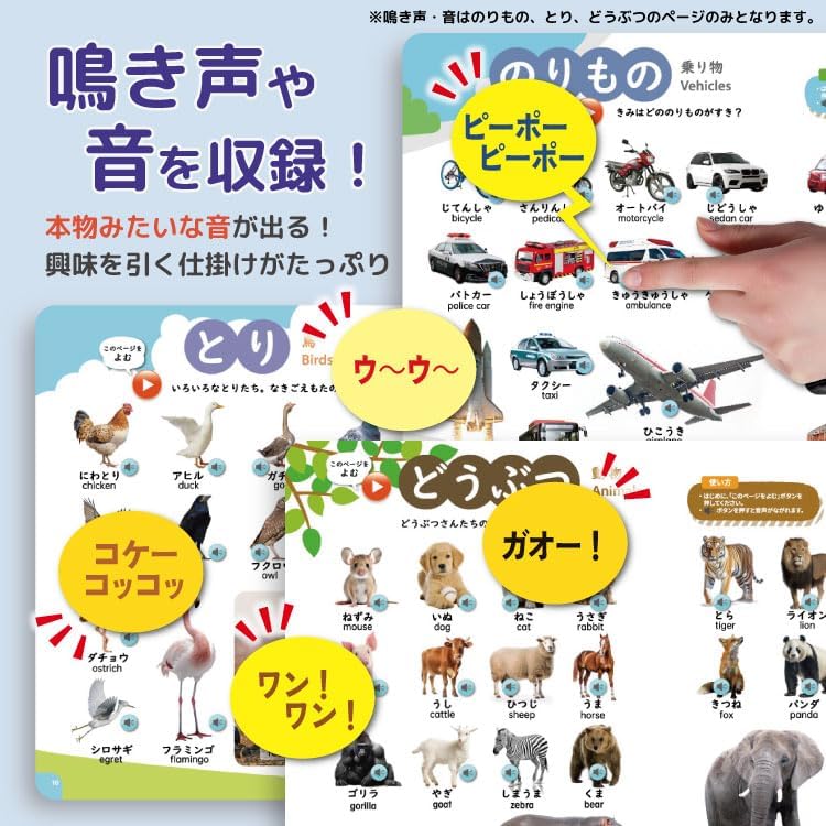 Supervised by Montessori Teacher, 3rd Edition, No Stylus Needed?! Sound Picture Book, Japanese and English, All Educational Sound Book, Talking Encyclopedia, Educational Picture Book, Bilingual