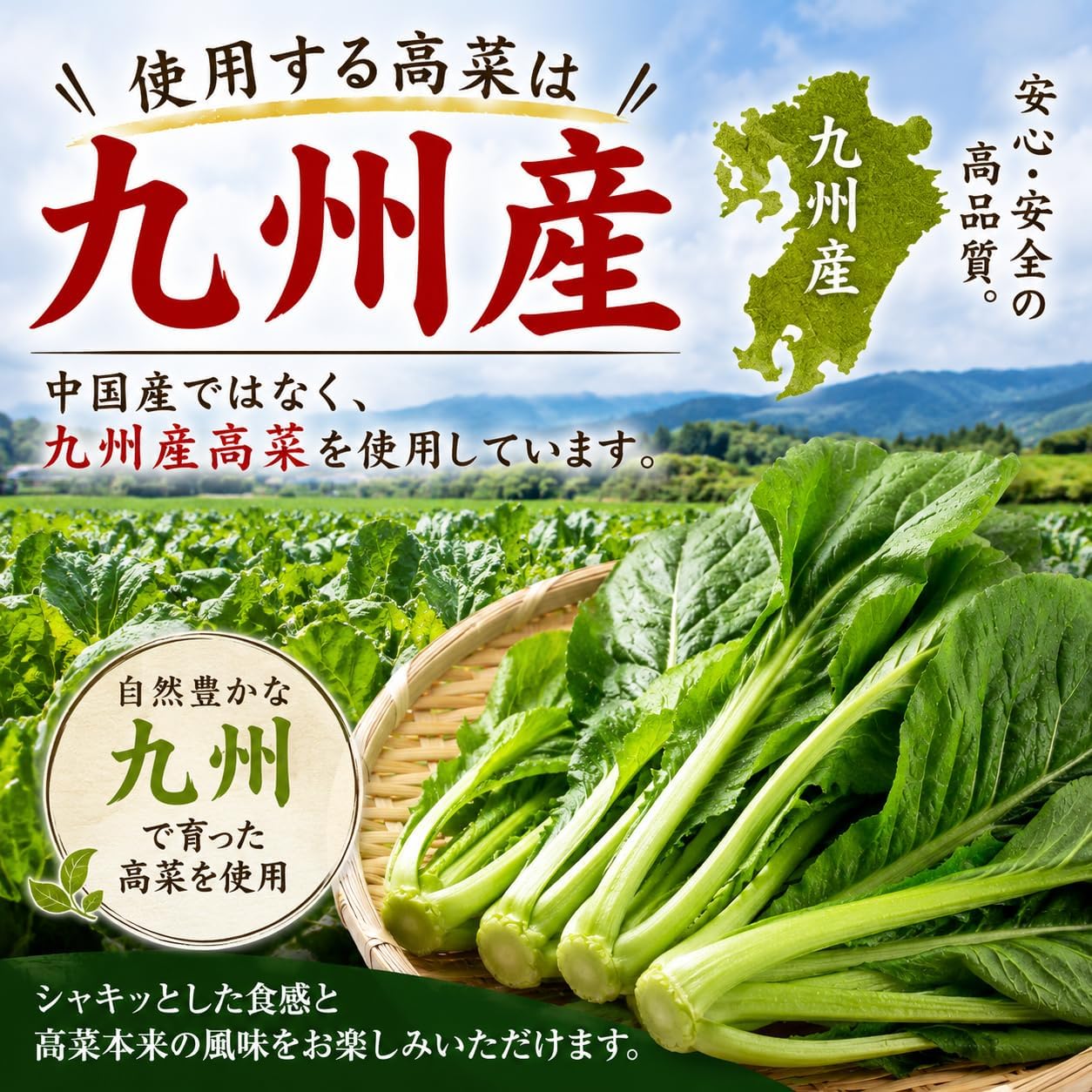 ★Takana Stir-fried 100g × 2 bags ★ Established in Taisho 15, high-quality Takana pickles by Ogihara Foods. Finished with Kyushu thick soy sauce and sesame oil for a rich, comforting taste. Excellent