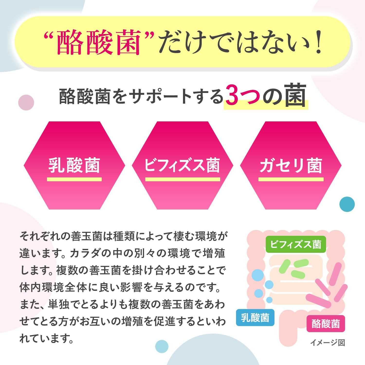 Butyric Acid Bacteria, 2.5 Billion Pieces, Short Chain Fatty Acids, Lactobacilli, Bifidobacteria, Fructo-Oligosaccharides, Lactoferrin, 6 Types of Oligosaccharides, 100 Tablets, GMP Factory in Japan