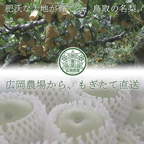 20th Century Pear from Hirooka Farm (20th Century Pear), 4.4 lbs (2 kg) (5 - 7 beads), Produced in Tottori Prefecture, No Sublimation (For Home Use)