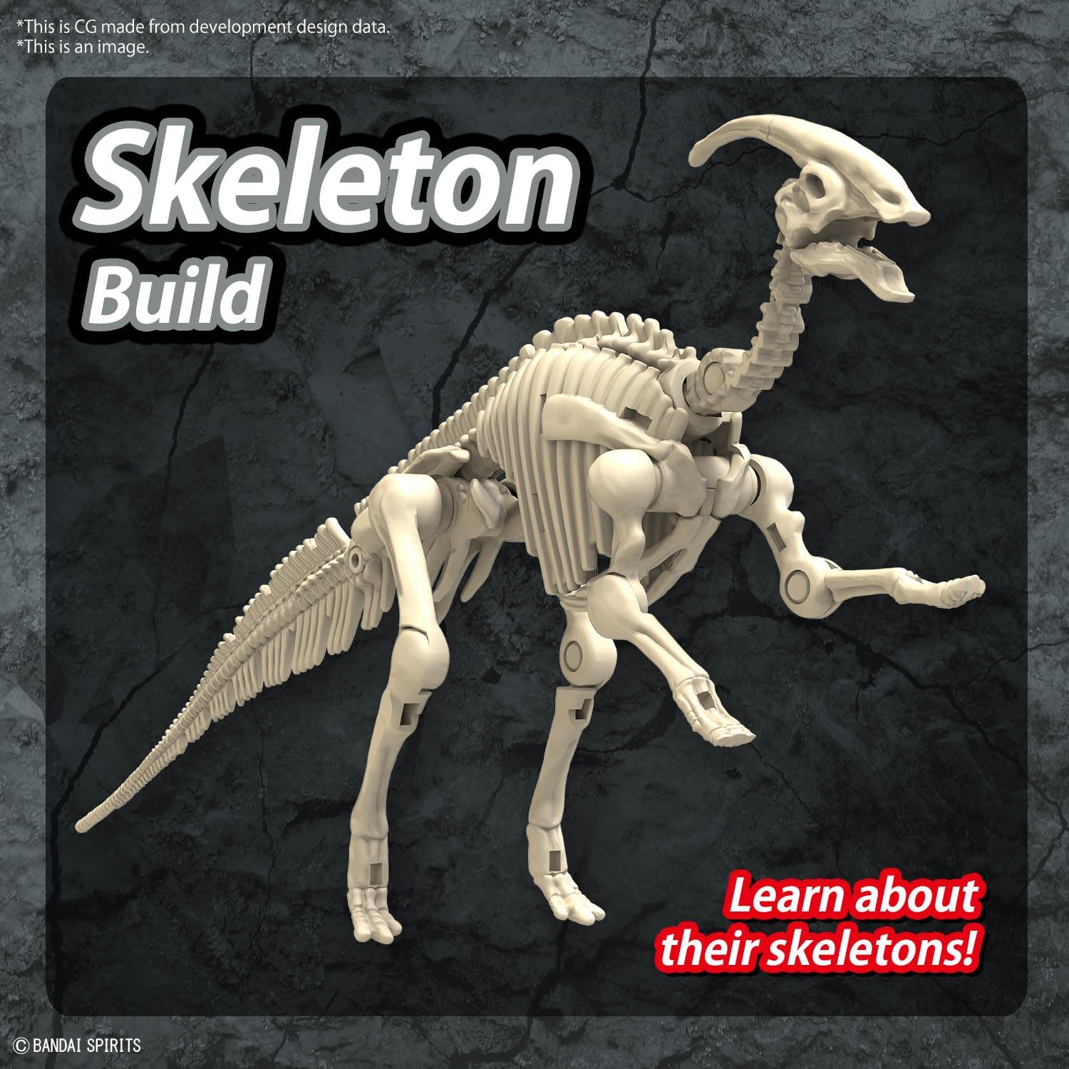 Planosaurus Parasaurolophus Color-Coded Plastic Model