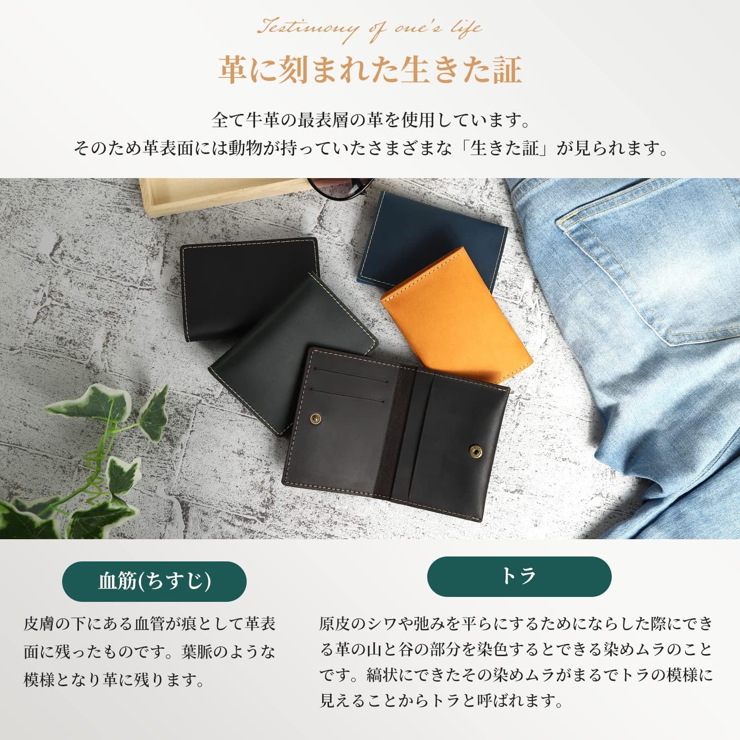 Kameto Bag Manufacturing Men's Credit Card Case, Genuine Leather, Card Slot, Thin, dark brown