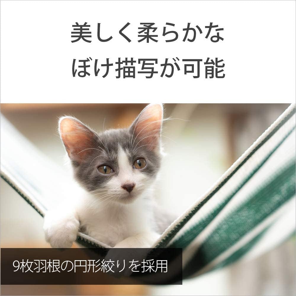 SONY(ソニー) 標準ズームレンズ フルサイズ FE 24-105mm F4 G OSS Gレンズ デジタル一眼カメラα[Eマウント]用 純正レンズ SEL24105G