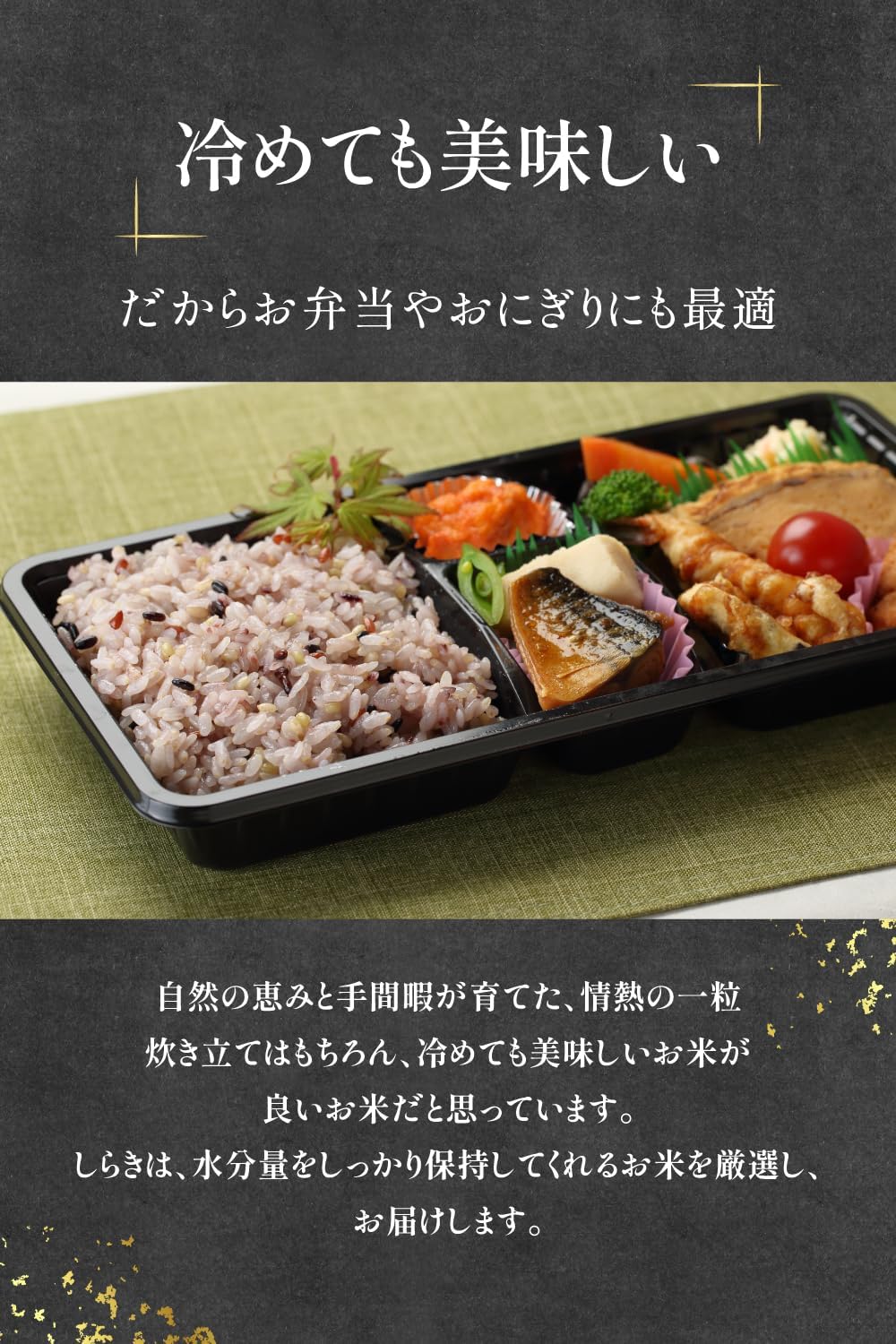 Mixed Grain Rice [Black Rice, Red Rice, Green Rice, Germinated Brown Rice, Mochi Barley, Barley, Mochi Brown Rice] from Kumamoto, Vacuum-Packed, Zero Residual Pesticides, Convenient with Zipper