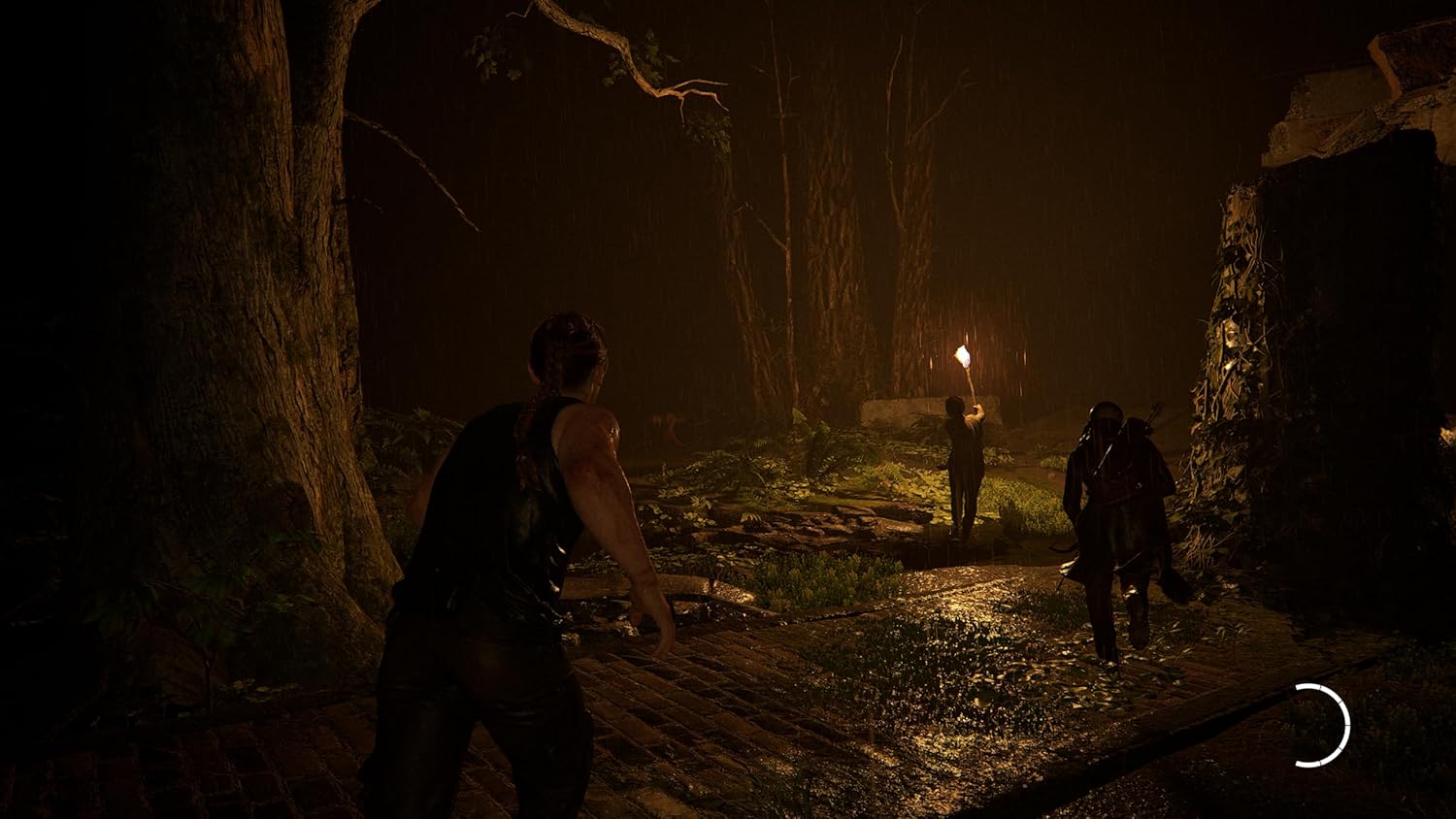 【PS5】The Last of Us Part II Remastered 【CEROレーティング「Z」】