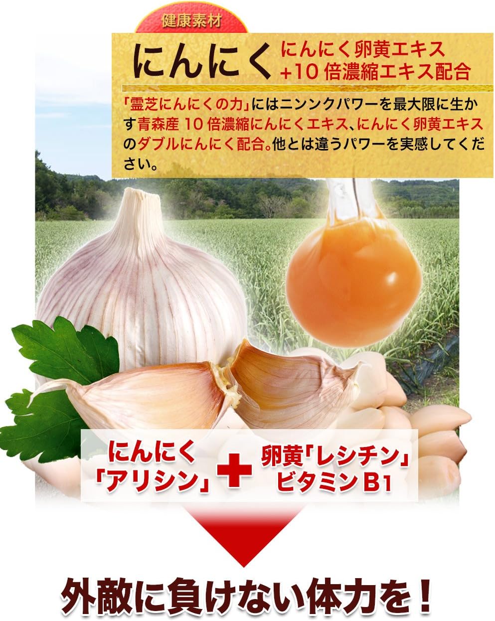 Dainichi Healthy Foods Reishi Garlic Power, 30 Capsules x 6 Bags, Garlic Egg Yolk, Reishi, Ginseng, Maca, Zinc Formulated Supplement