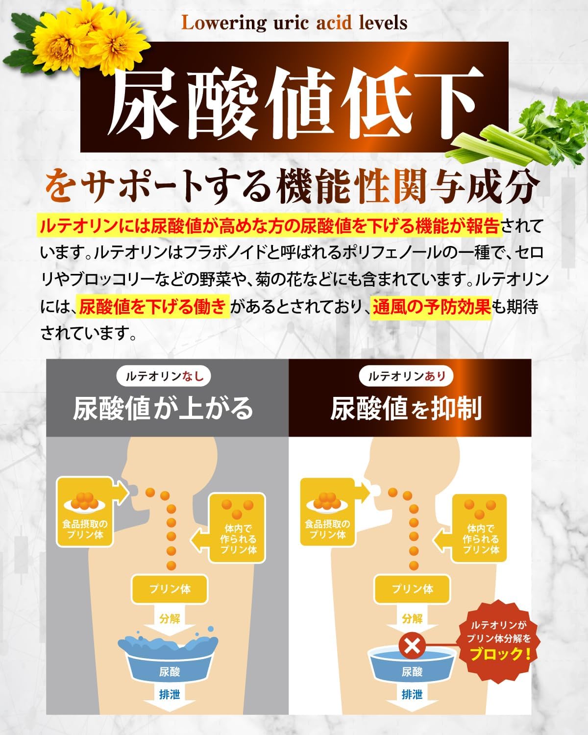 【Amazon限定セット】グルコサミンのチカラ × カロバーン尿酸値α プロテオグリカン グルコサミン 非変性Ⅱ型 コラーゲン 膝 関節 サプリ30日分 ヒアルロン酸 国内製造 尿酸値が高めの方の 尿酸値を下げる 機能性表示食品 ルテオリン アンセリン 業界屈指13種のサポート成分贅沢配合 16種の無添加