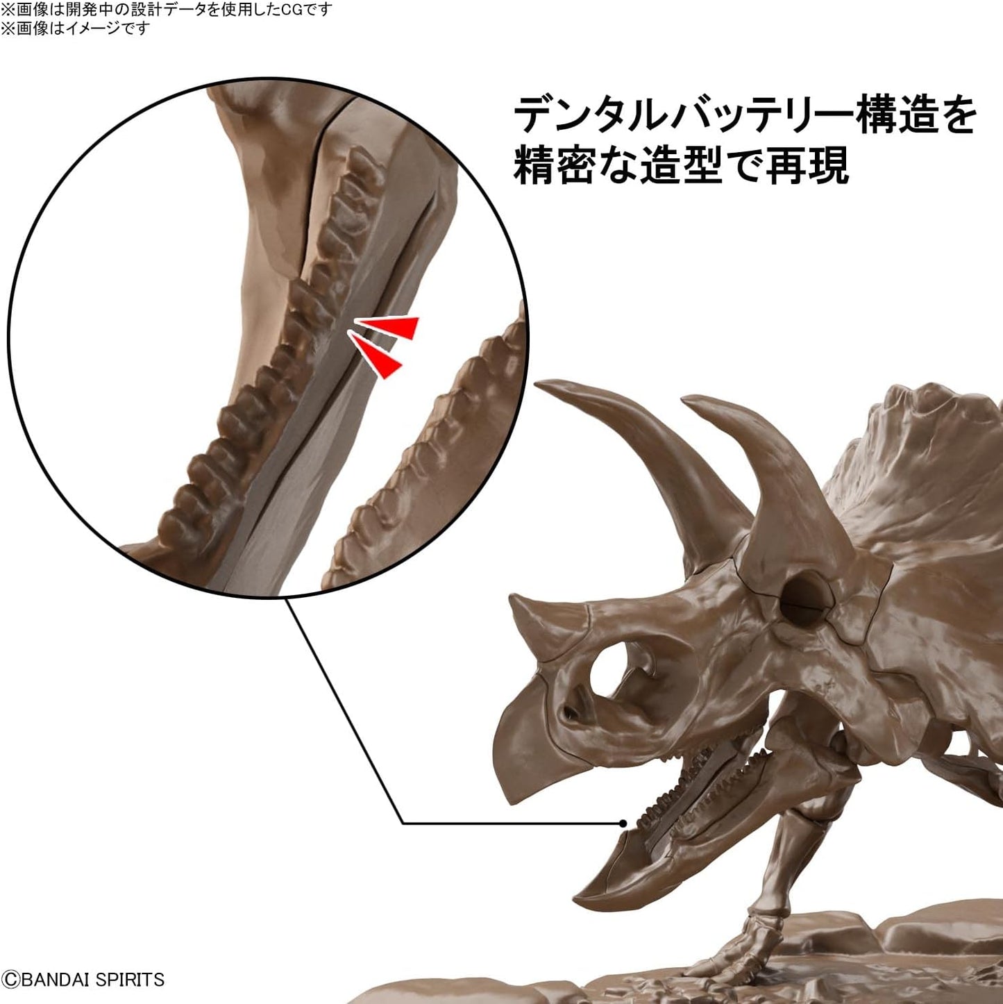 Bandai Spirits (バンダイ スピリッツ) Imaginary Skeleton Triceratops 1/32 Scale Plastic Model