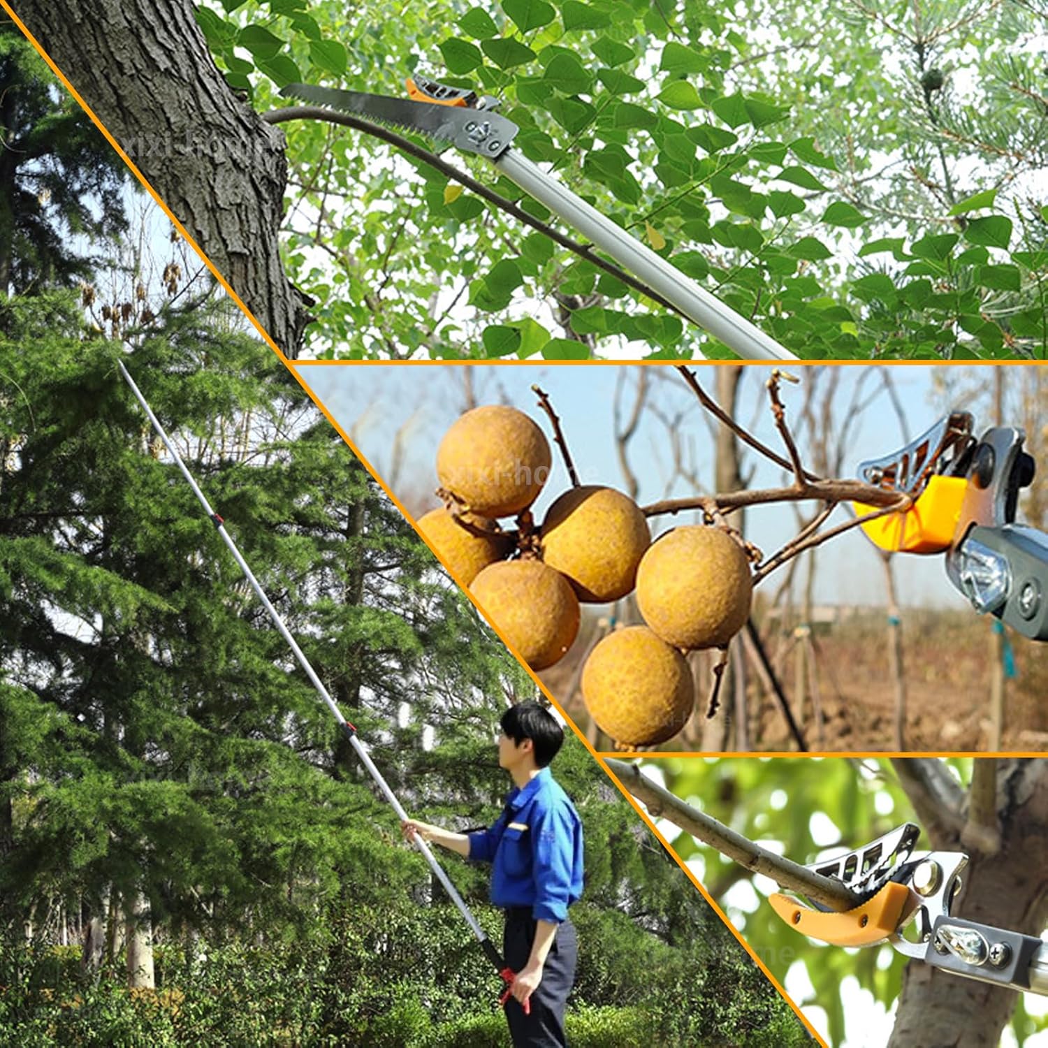 Telescopic High Branch Cutting Shears 【Gardener Recommended】 SK5 High-Grade Alloy Steel 2-Stage 3-Stage 2m 3m 4m 5m Lightweight with Saw Lock Fruit Picking High Branch Cutting Shears High