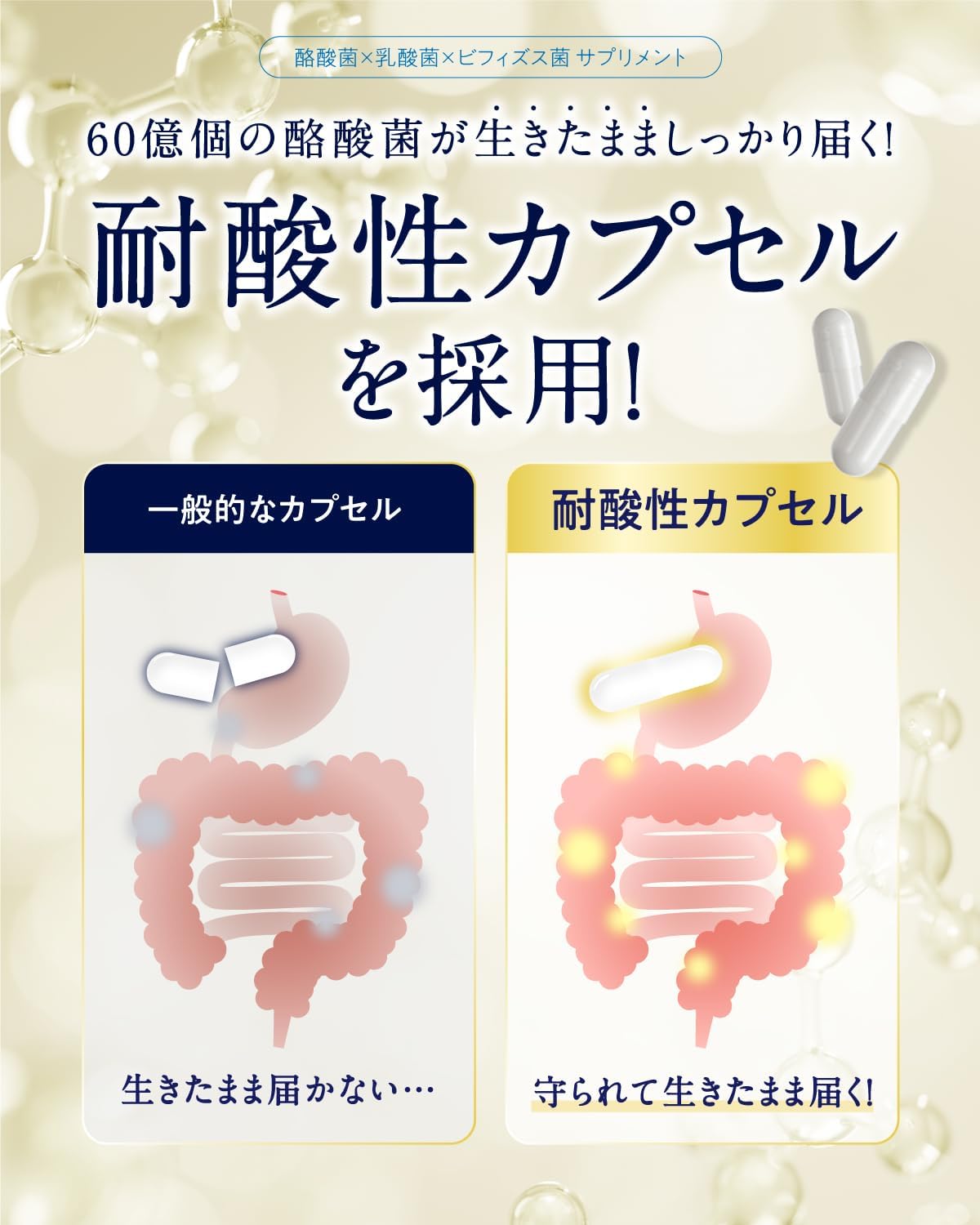 【Live Butyric Acid Bacteria "6 Billion" Luxurious Formula】 Bifiral Butyric Acid Bacteria Premium Supplement 6 Billion 30-Day Supply Lactic Acid Bacteria Bifidobacteria Domestically Manufactured