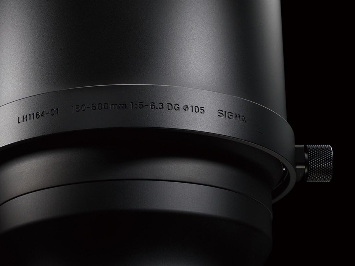 Sigma 150-600mm F5-6.3 S DG OS HSM