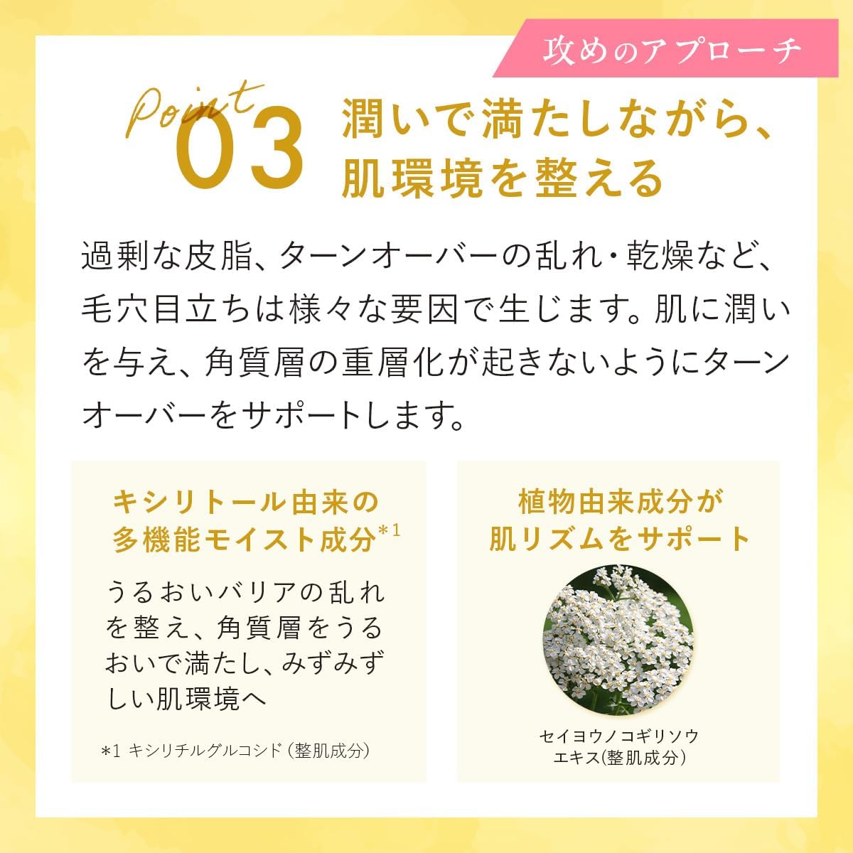 CANADEL Premier Balancer, All-in-One, 2.0 oz (58 g) + 0.4 oz (10 g), Official Store Limited Set, Serum, Dullness, Shine, Moisturizing, Sebum, Pores, Canadel