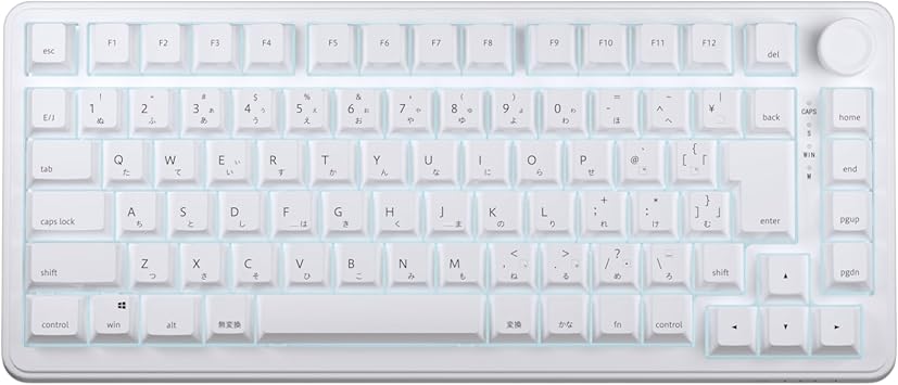 AIM1 Shun MATATAKI Rapid Trigger 8000Hz Polling Rate Wired 75% Size Backlit LED Gaming Keyboard Magnetic Switch (Japanese Array)