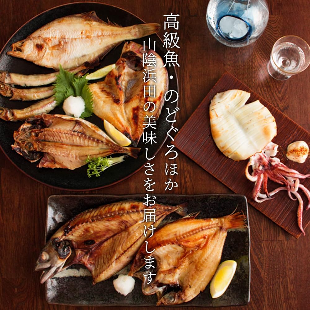 Sanin Dried Fish Set, Dried Fish Set, Carefully Selected Overnight Dried in Shimane and Hamada Port (5 Types of Dried Fish) (5 Types of Dried Fish) Additive-Free Dried Fish Gift