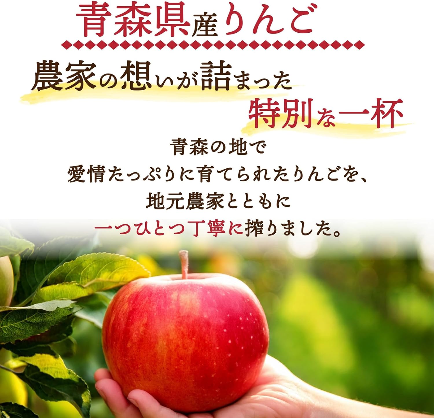 Apple Juice, Made in Aomori Prefecture, 2.3 fl oz (1 L) Bottles, 100% Straight Fruit Juice, Apple Juice, Paper Pack, 33.8 fl oz (1,000 ml) x 2 Bottles