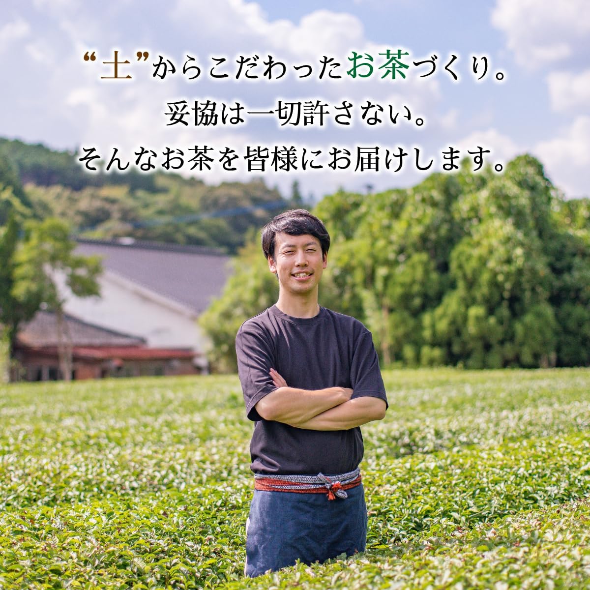 Ureshinocha Drinking Comparison Fukubukuro Ureshinochaen Tea Bags 2.5g×7×3 Varieties Drinking Comparison Set Gift Random Package Green Tea Hojicha Japanese Black Tea Saga Domesticly Produced Hot Water