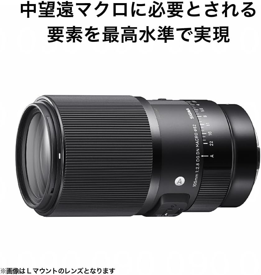 Sigma Sony E-Mount Lens 105mm F2.8 DG DN MACRO Monofocal Telephoto Full Size for Art Mirrorless