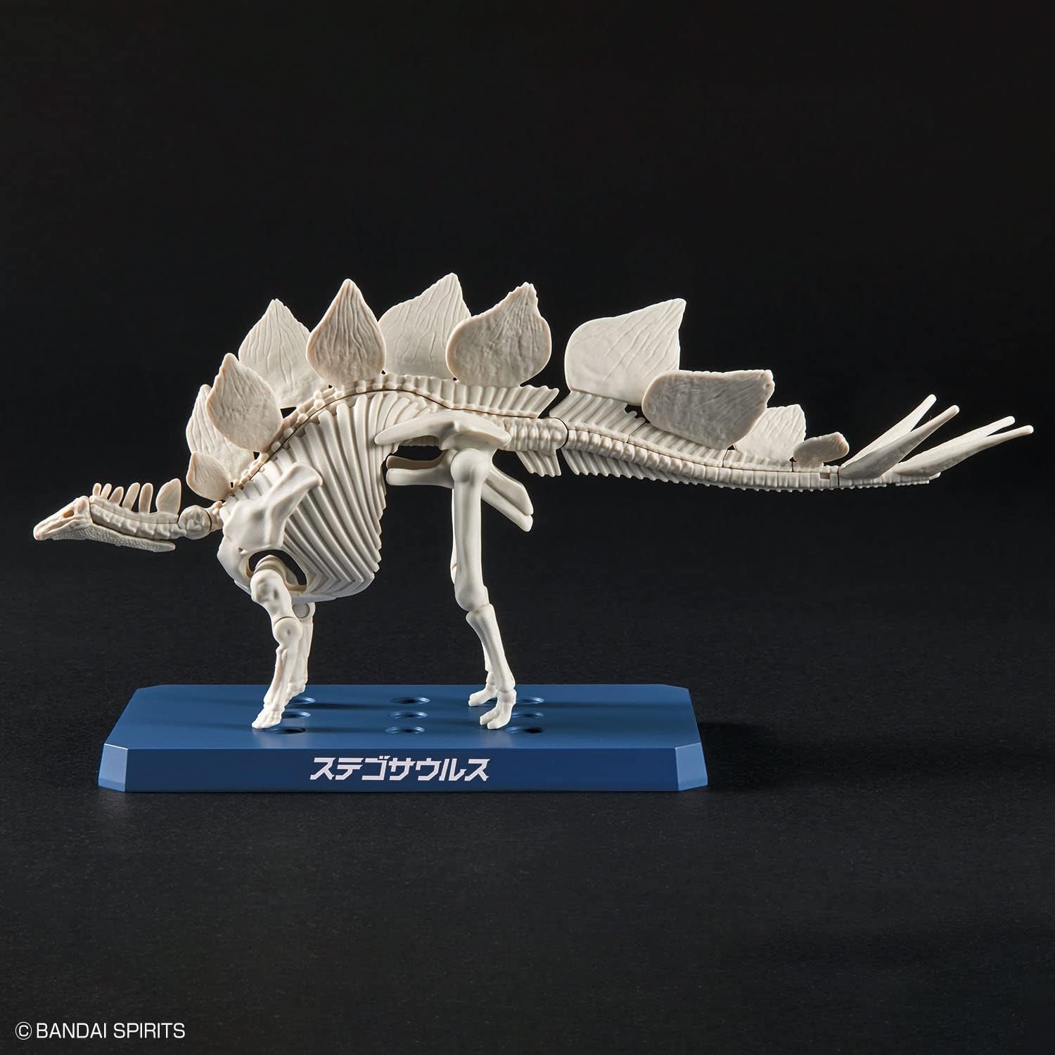 Bandai Spirits Planosaurus Stegosaurus Color Coded Plastic Model