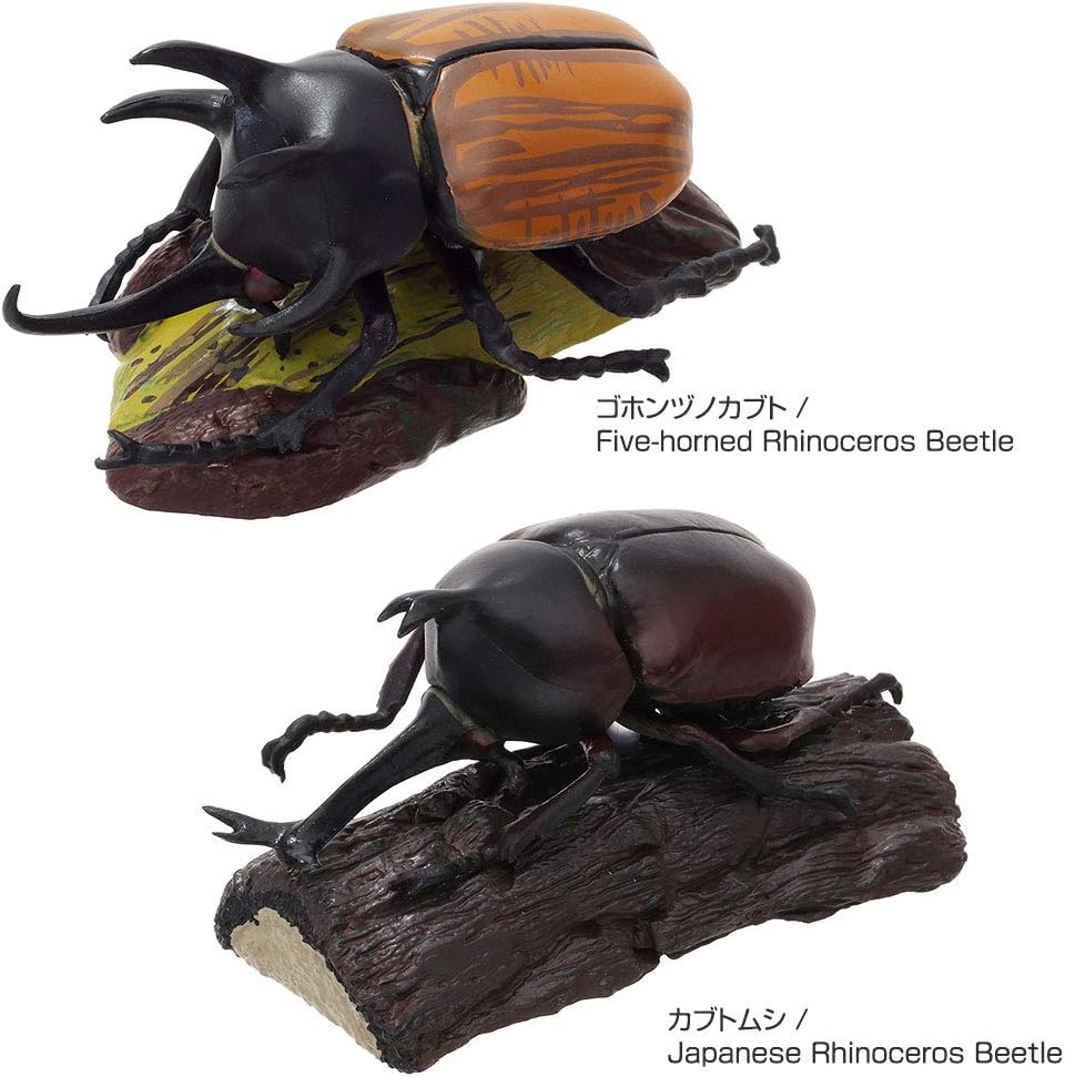 カロラータ 立体図鑑 カブトムシ フィギュア (6種 / 解説書付き) リアル おもちゃ (知育玩具) 誕生日 ギフト プレゼント (食品衛生法クリア) ライナセラスビートル/リアルフィギュアボックス 模型/クリスマス クリスマスプレゼント