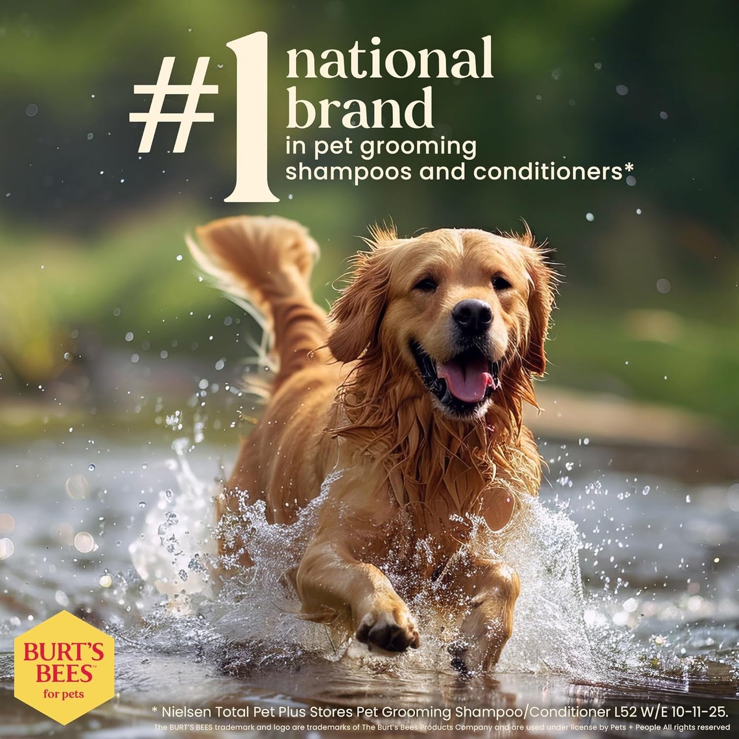 Burt's Bees for Pets Champú de avena para perros con harina de avena coloidal y miel, 2 unidades, fórmulas de origen 95% natural, champú para perros - 2 unidades, 32 onzas