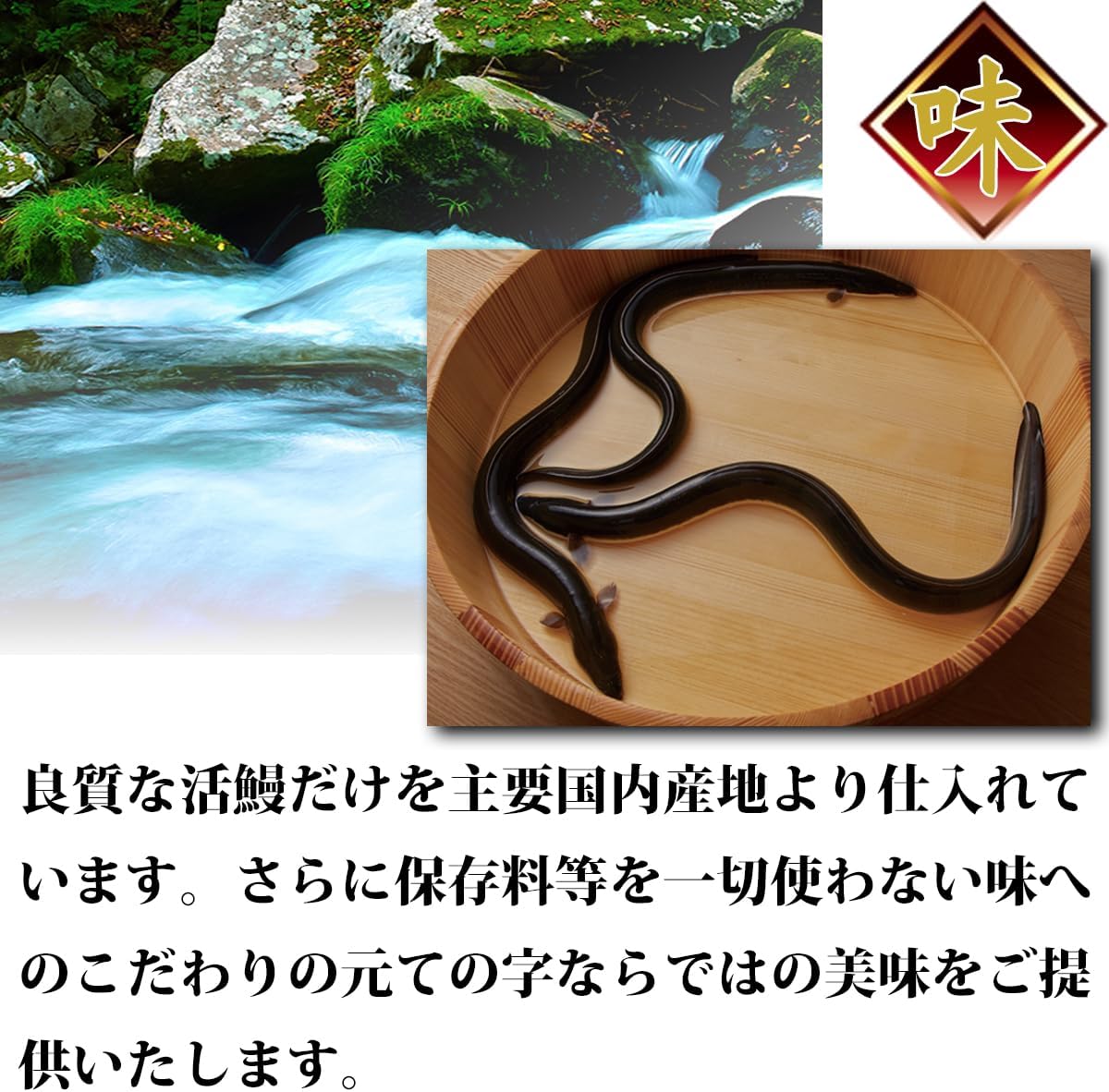 Unagi Tenoji Unagi Kabayaki Frozen Vacuum Pack. 120g×5 Set, Tenoji Decorative Box Included. Suitable for home use or as a gift. Ready to eat after thawing. Present Gift Eel Frozen Great Value