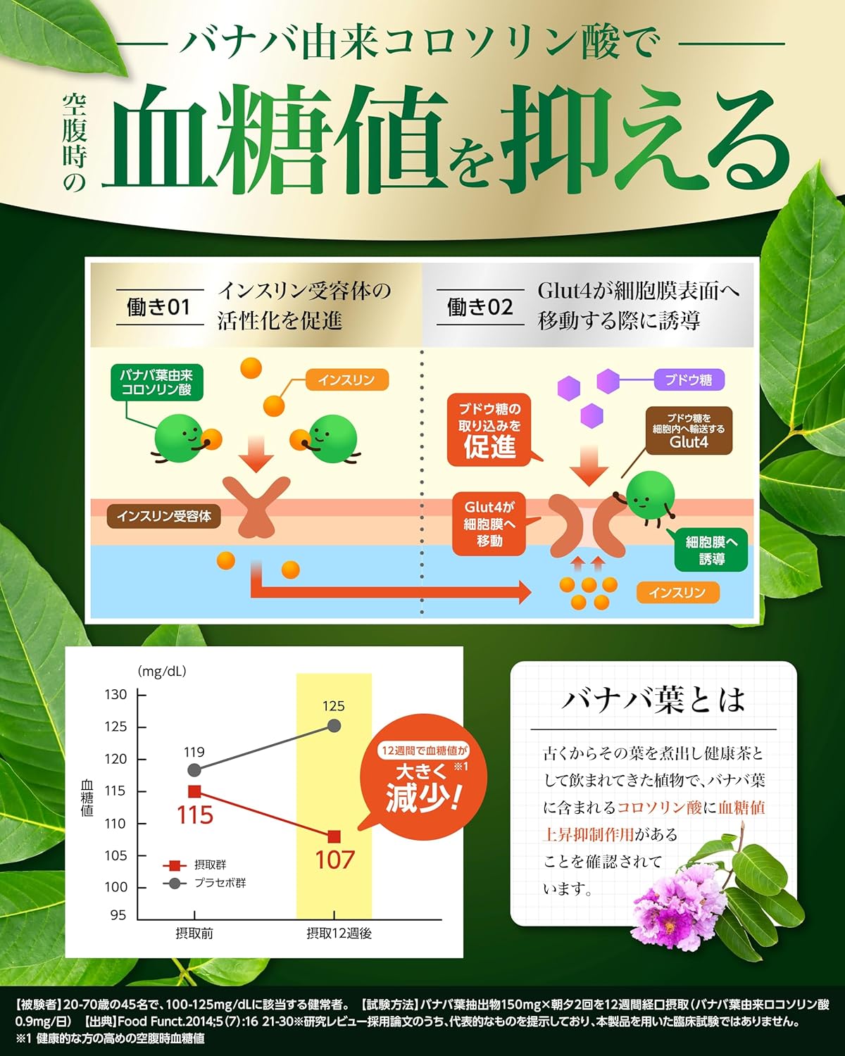 【Amazon限定セット】グルコサミンのチカラ × カロバーンα プロテオグリカン グルコサミン 非変性Ⅱ型 コラーゲン 膝 関節 サプリ30日分 ヒアルロン酸 国内製造 健常な方の 高めの空腹時の 血糖値を下げる 血圧が高めの方の 血圧を低下させる 機能性表示食品 バナバ葉 GABA 業界屈指13種のサポート成分贅沢配合 18種の無添加 血圧 サプリ 血糖値
