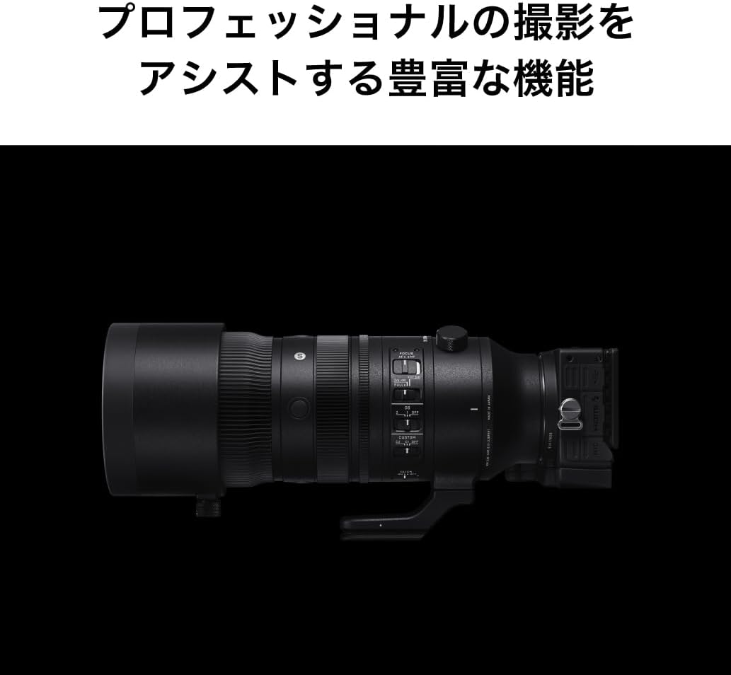 Sigma 70-200mm F2.8 DG DN OS L Mount