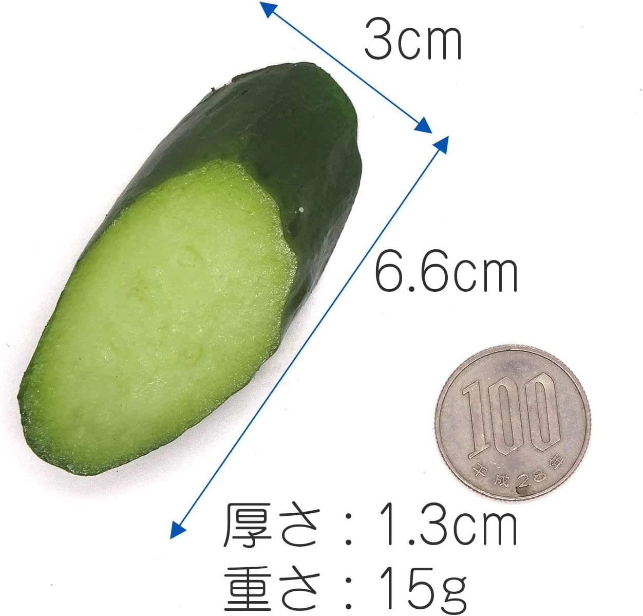 Food Sample Magnet, Cucumber Slice, 122.8 ft (362 m)