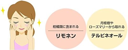[100% Made in Japan] Kuromoji Tea (Leaves) 0.07 oz (2 g) x 10 Packs Tea Pack, Pesticide-free, Caffeinated Sugamo Tea House from Shimane Prefecture, Sannenen