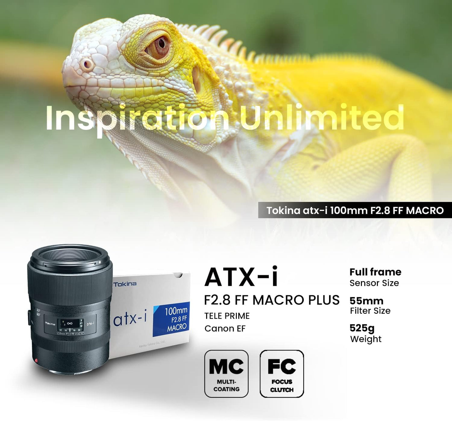 Tokina Macro Lens atx-i 100mm F2.8 FF MACRO Canon EF Mount Full Size 634455