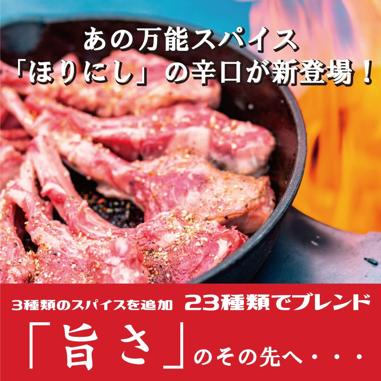 Outdoor Spices Horinishi & Horinishi Spicy 2-piece Set Outdoor Seasoning Spices Gift BBQ