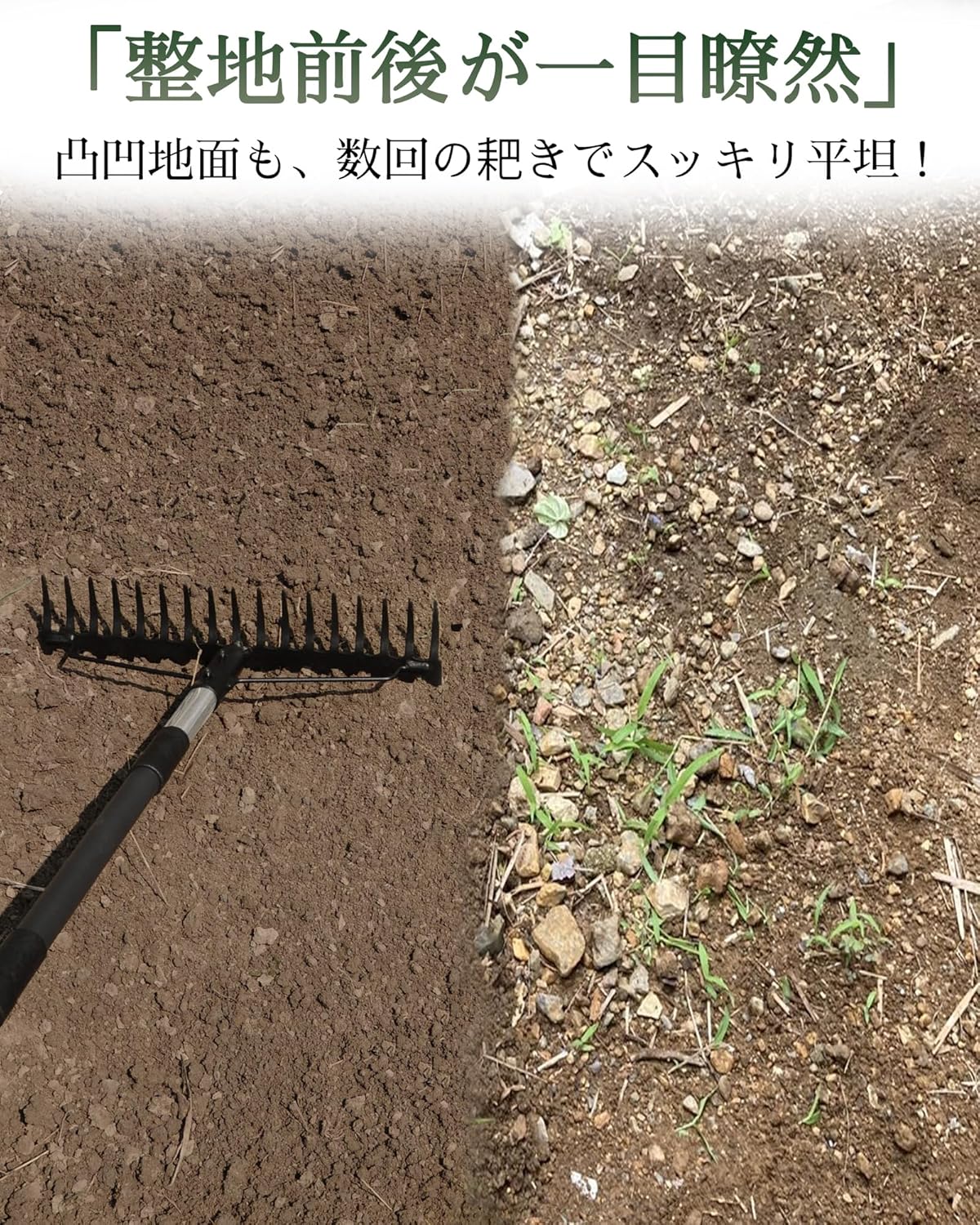 Rake Bow Rake, Adjustable Length, 3.3 - 5.6 ft (1 - 1.72 m), Stainless Steel Handle, 17 Manganese Steel Tines, Metal Head, Sturdy Design, Grass Cutting, Deciduous Leaf Collection, Leveling