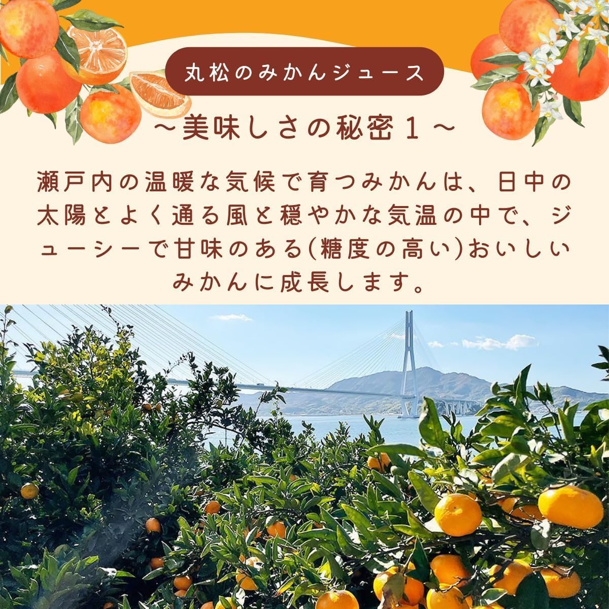 Orkaen Dark Shunshiri Mandarin Orange Juice, 23.7 fl oz (700 ml), 100% Straight, Hiroshima Prefecture, Ehime Prefecture, Set of 2