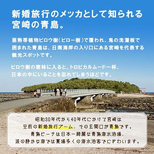 Aoshima Senbe Fruity 12 Pieces (24th National Confectionery Exhibition President Award) Long Selling Miyazaki Mika Online Order Souvenir