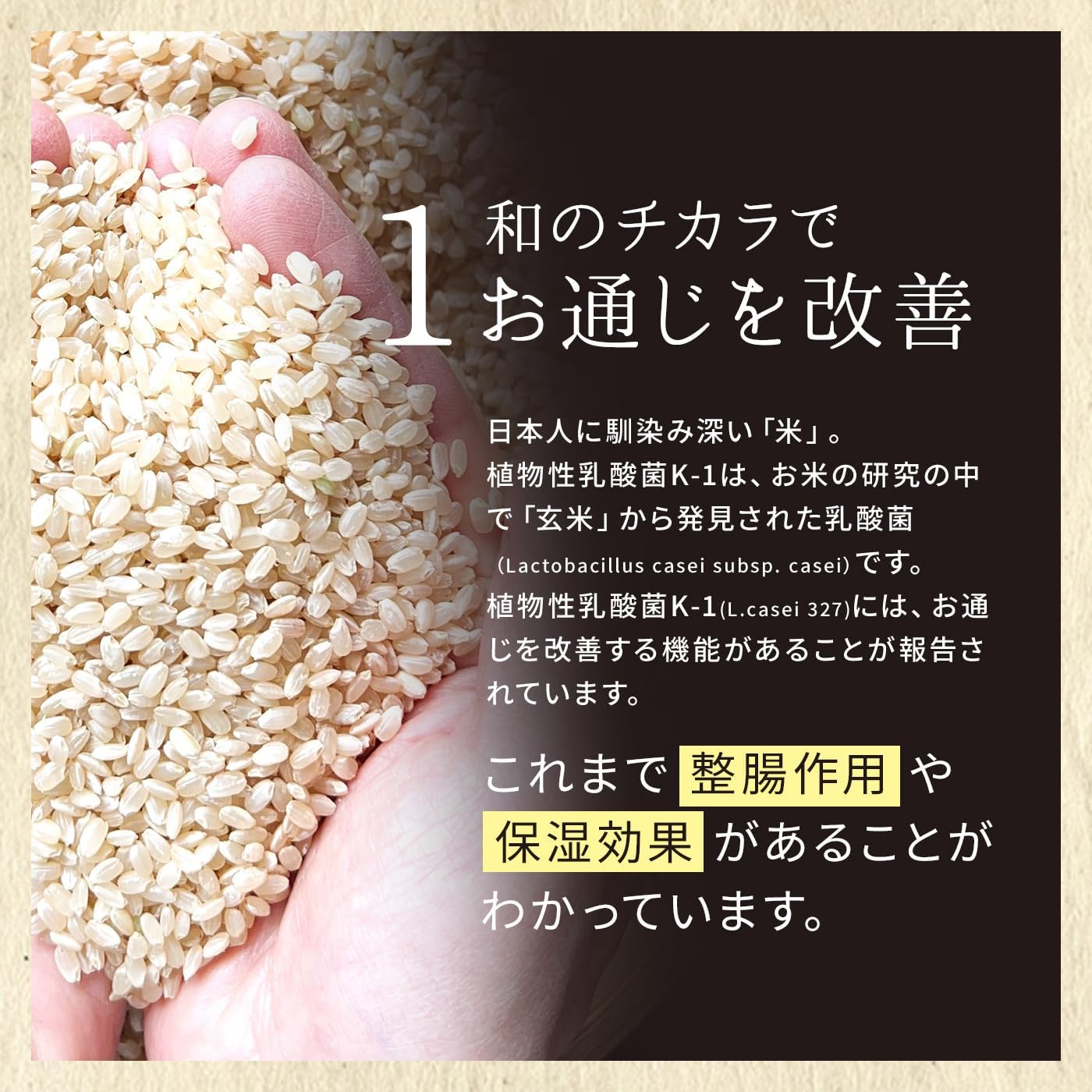Shintani Enzyme, Vegetable Lactobacillus Improves Circulation, Tablets, Constipation, Supplement, Functional Display, Food with Lactic Acid Bacteria, Rough Skin, Moisturizing, Intestine, Burdock