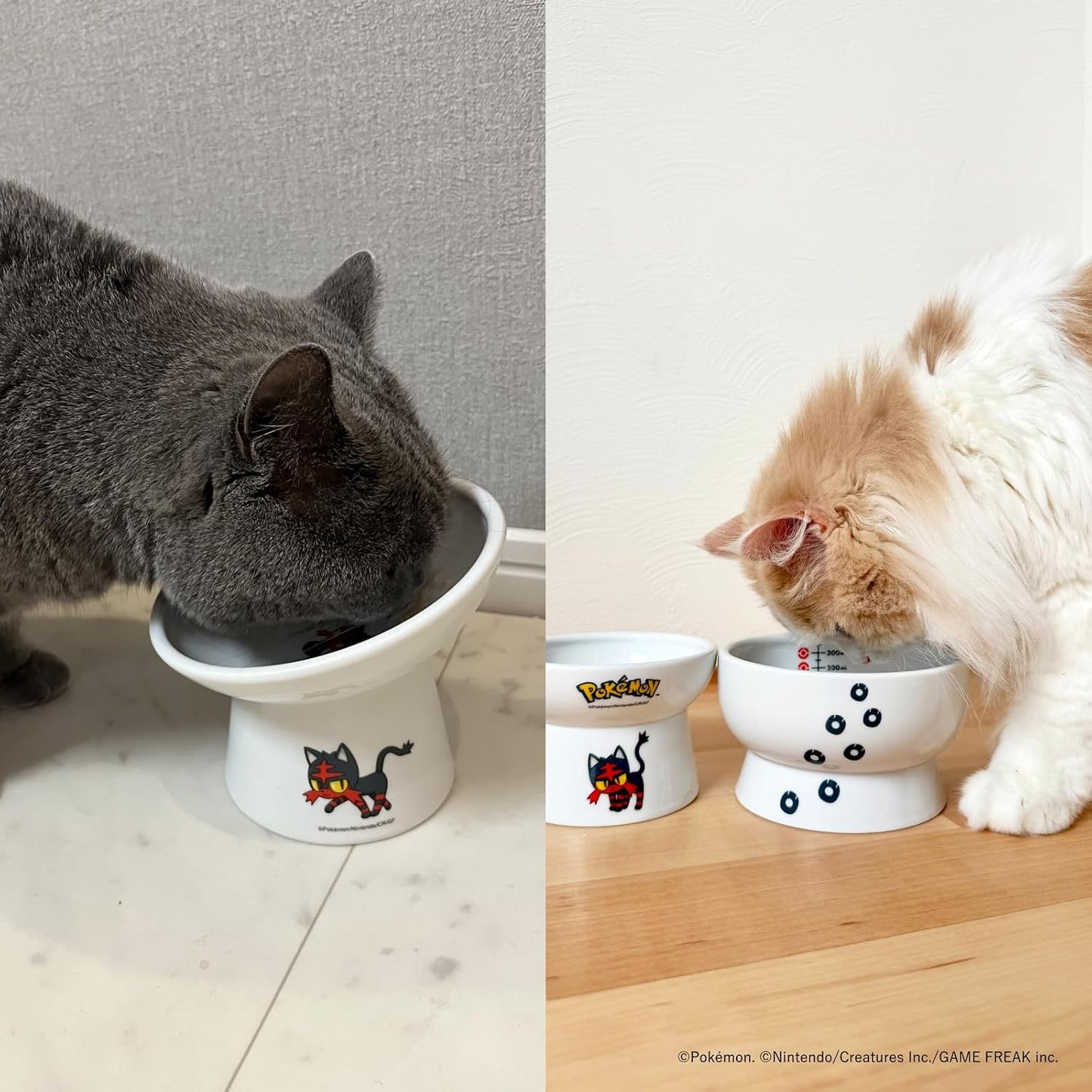 Neichi Cat Food Bowl with Stems, Regular, Pokémon, Pokemon, Meat