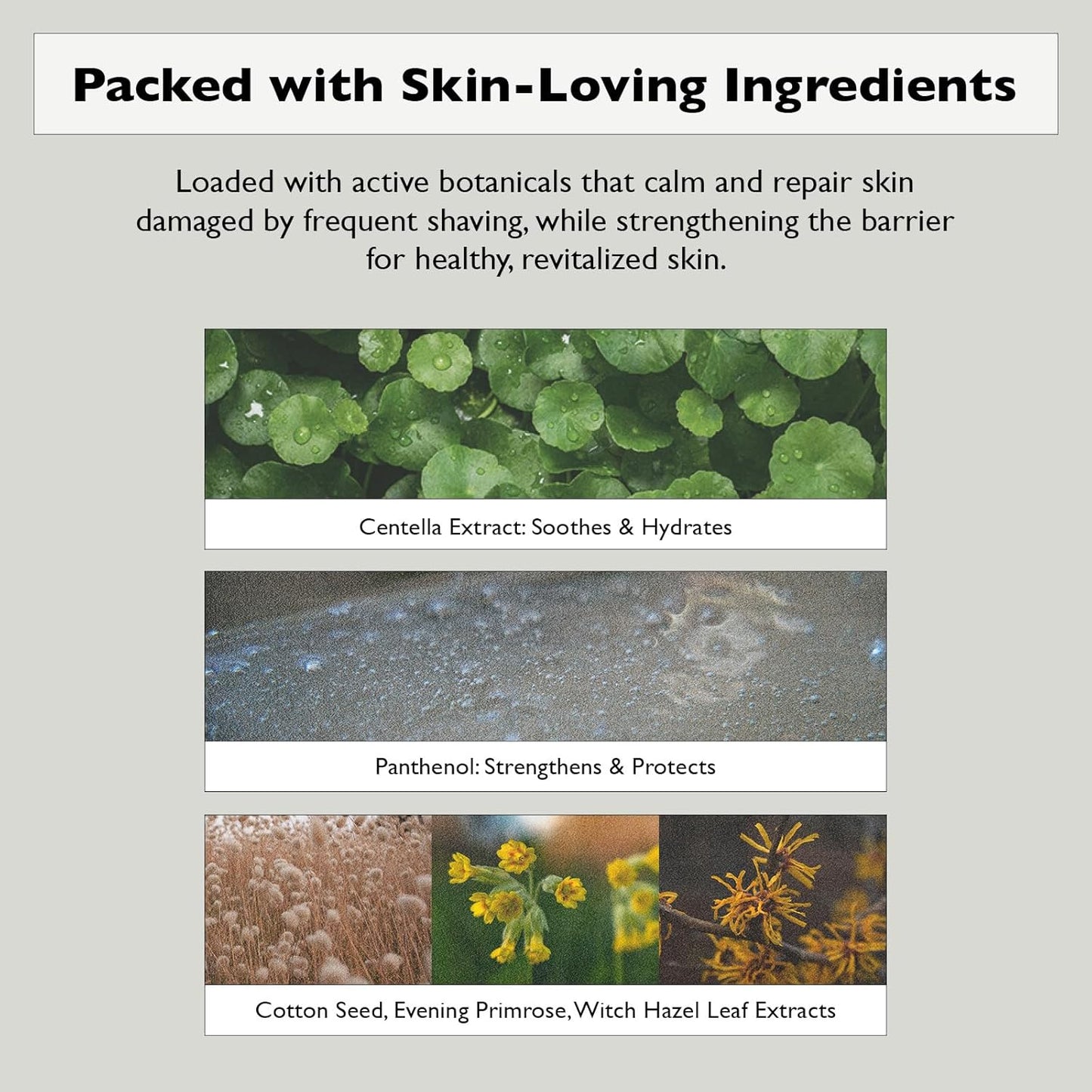 [Lazy Society] Revitalizing 5-in-1 Face Lotion, 5.3 oz (150 g)