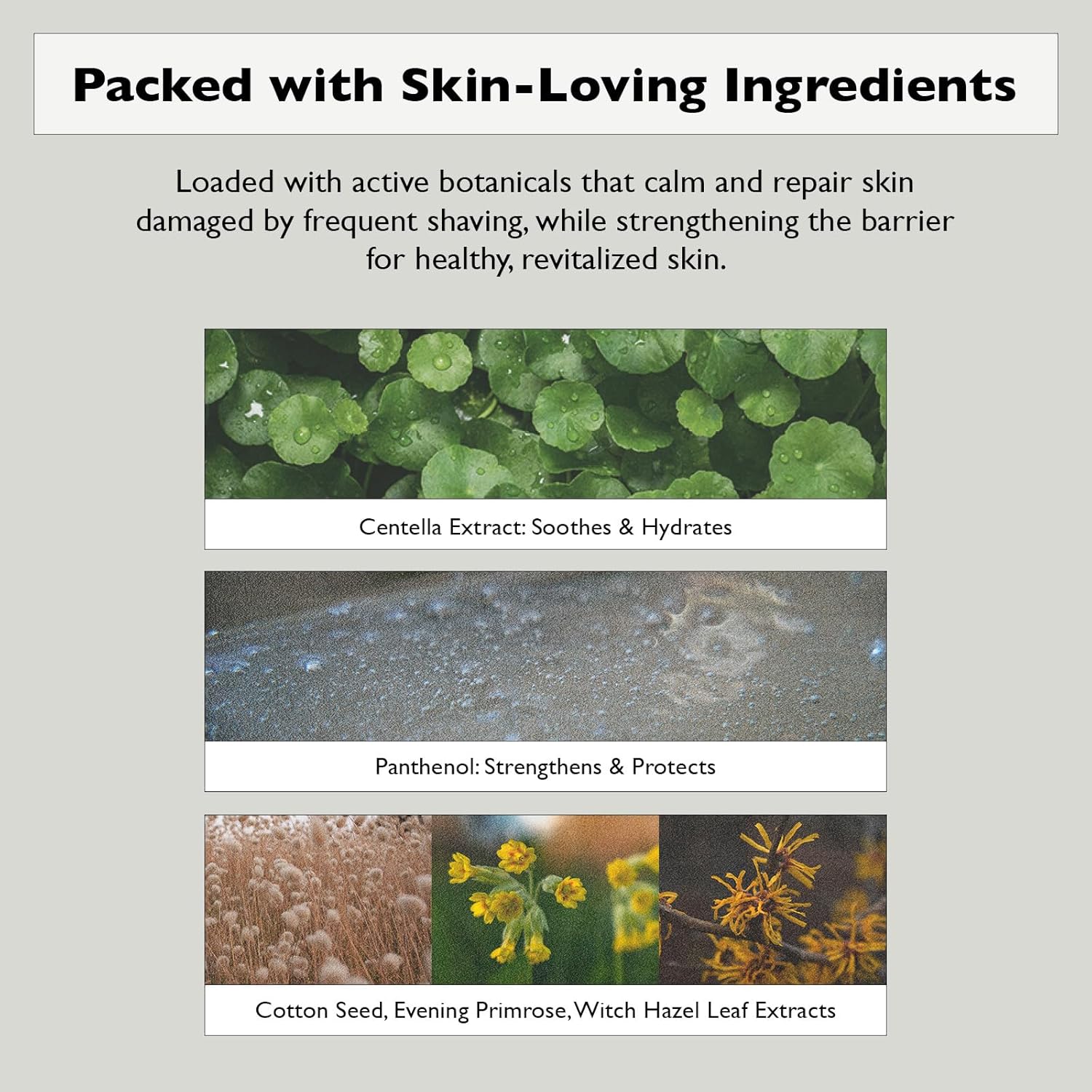 [Lazy Society] Revitalizing 5-in-1 Face Lotion, 5.3 oz (150 g)