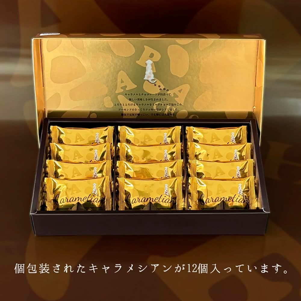 Carametian Chocolate, Caramel, Chocolate Gift, Souvenir, Confectionery Present, Popular, Order, Souvenir, Sweets, Individually Wrapped, Gift, Luxury (Pack of 12)