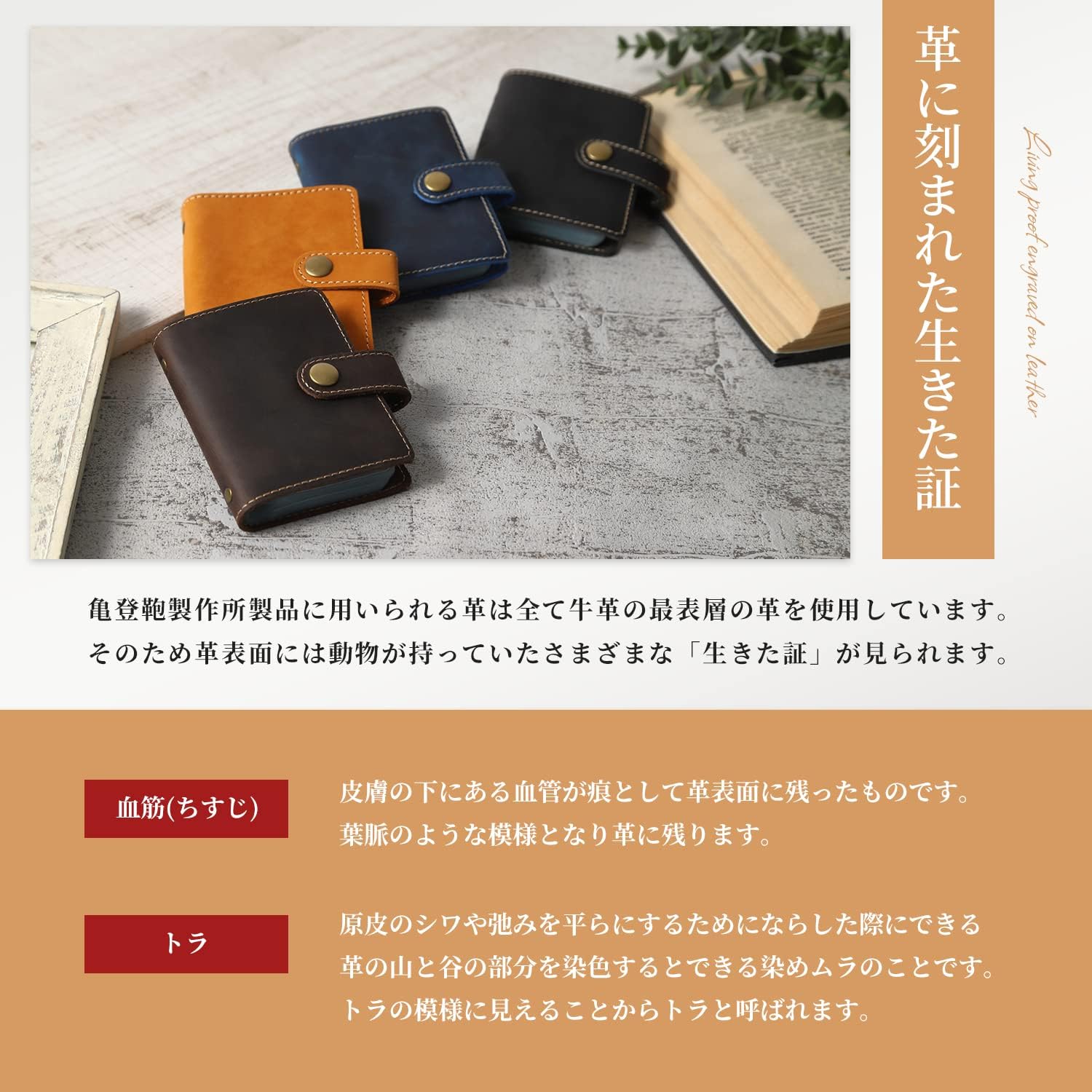 Kameto Bag Manufacturing Men's Credit Card Case, Genuine Leather, Credit Card Case, Folio Case, Credit Card, Examination Ticket, Point Card, dark brown