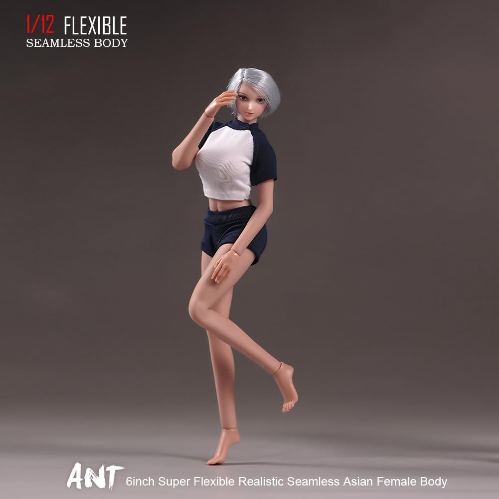 1/12 scale female body, 6.inch ultra flexible 22 joints seamless female body micro beauty three-dimensional action doll, removable foot model, suitable for hobby collection (muscle muscles)