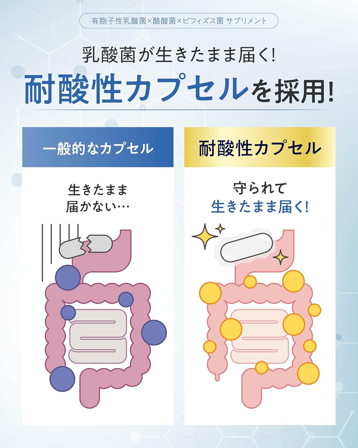 【Improves bowel movements with live bacteria activity】 Bifiral Plus Lactic Acid Bacteria Supplement, 60-day supply, live bacteria that reach the intestine and improve intestinal environment, improves