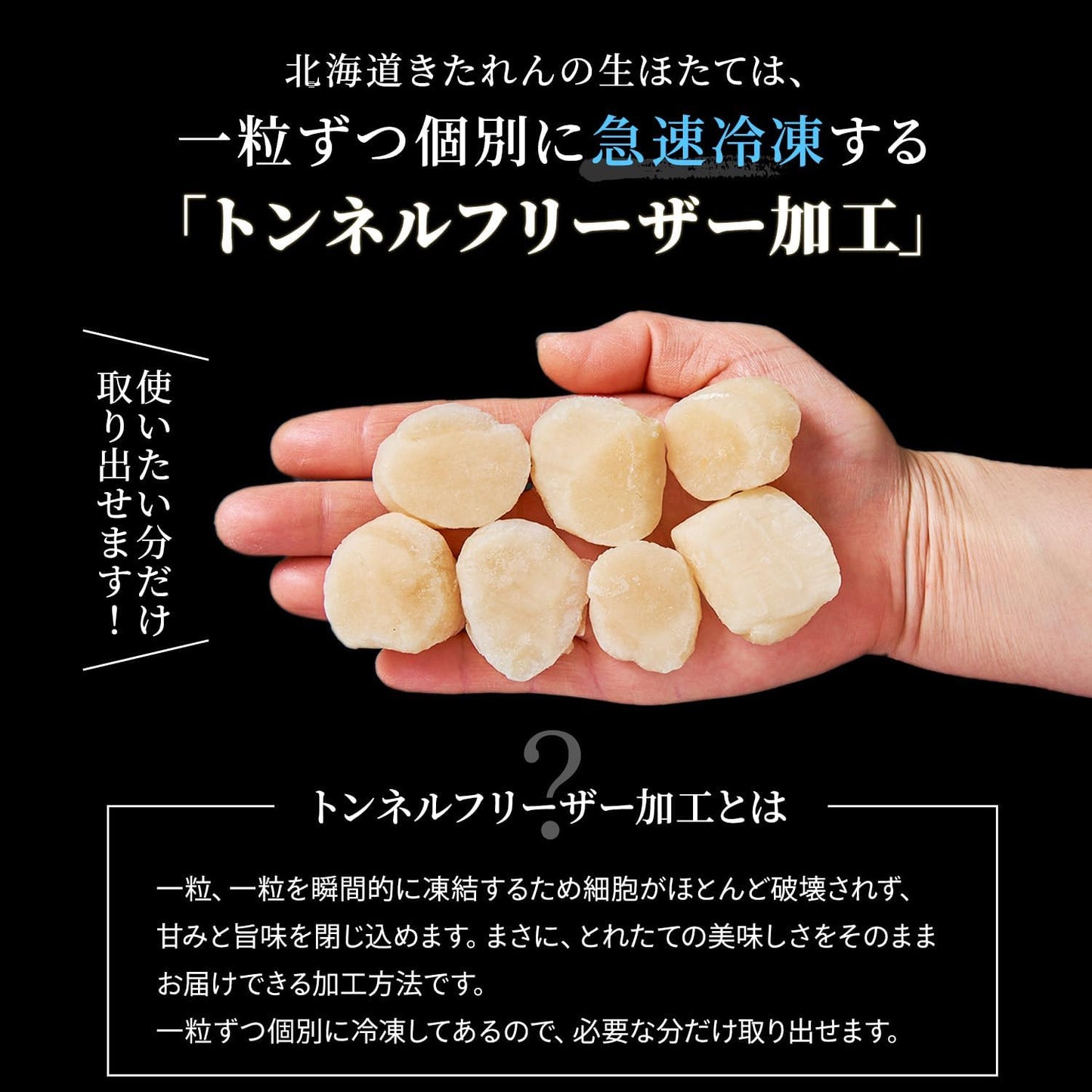 Hokkaido Karen Scallop Pillar 3S - 4S Generous 2.2 lbs (1 kg) (Approx. 41 - 60 seeds), For Sashimi, Frozen