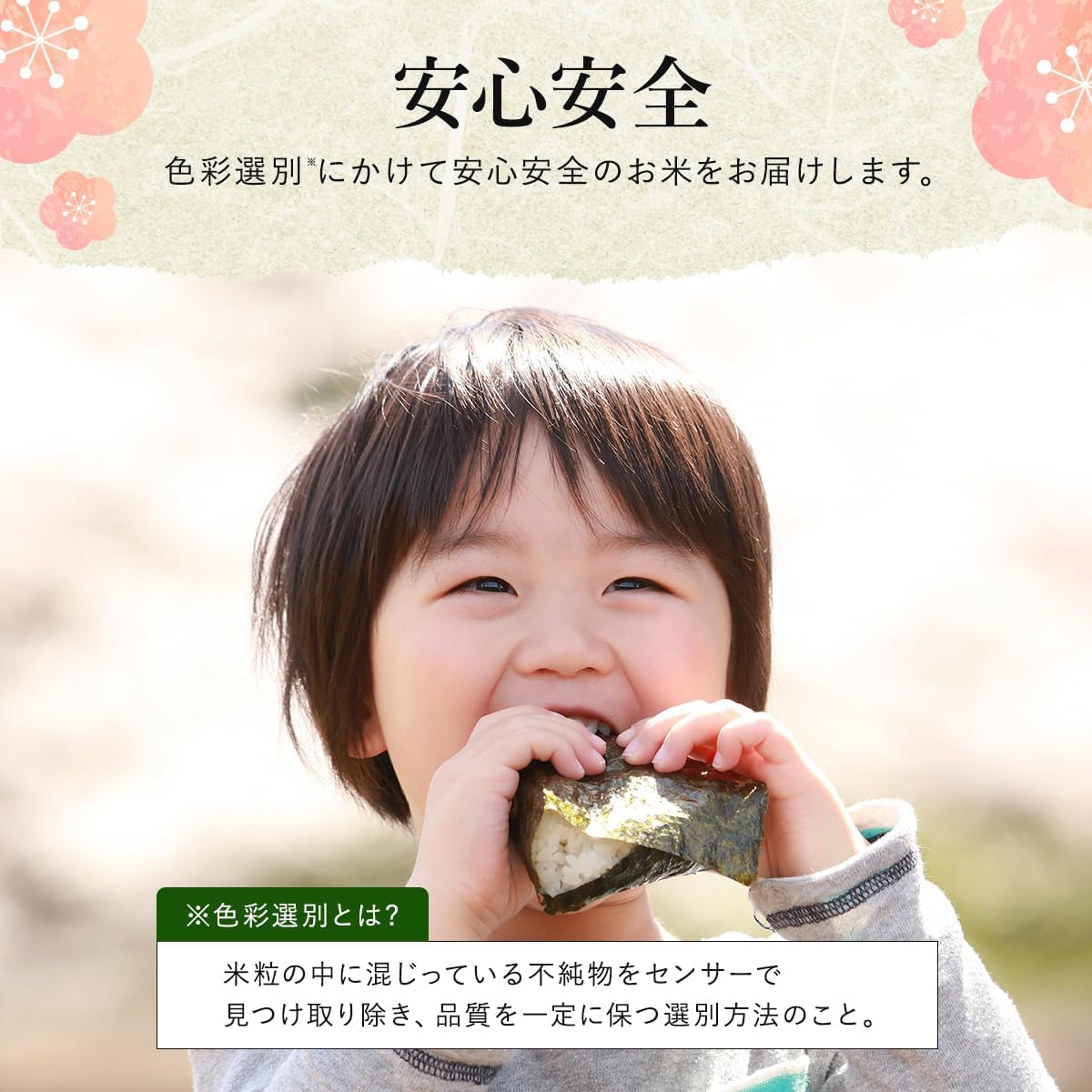 Nozawa Nousan 2025 Rice Rice Wash-Free Niigata Uonuma Koshihikari (5 kg, Wash-Free) | Mybest June 2026 Award Winner