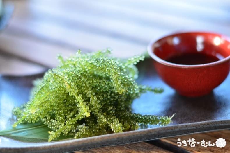 Uchina-Mun, Sea Grapes, Made in Okinawa Prefecture, 1.2 oz (33 g) + Sauce 0.2 oz (7 g) (When returned with water, it will become approximately 1.8 oz (50 g) per Okinawa Souvenir, 1 Box