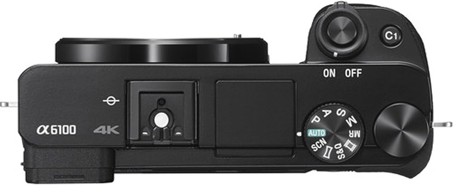 Sony a6100 ミラーレスカメラ 16-50mm + 55-210mmレンズ、128GB エクストリームスピードメモリ、.43広角&2Xレンズ、ケース、三脚、フィルター、スペアバッテリー&充電器、編集ソフトウェアキット - デラックスバンドル