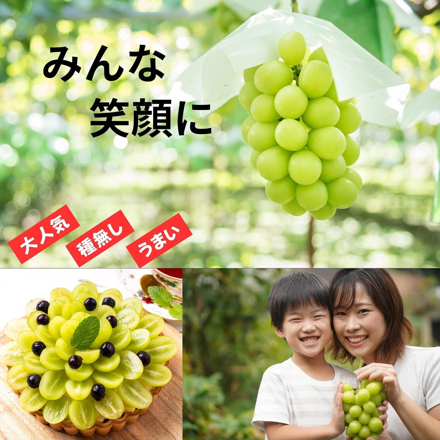 Shine Muscat Haruo Okayama Prefecture 14.1 oz (400 g) x 2 Bunches, Gift, High Sugar Content for Home, Grapes, Muscat, Medium Size, Sweet, Excellent