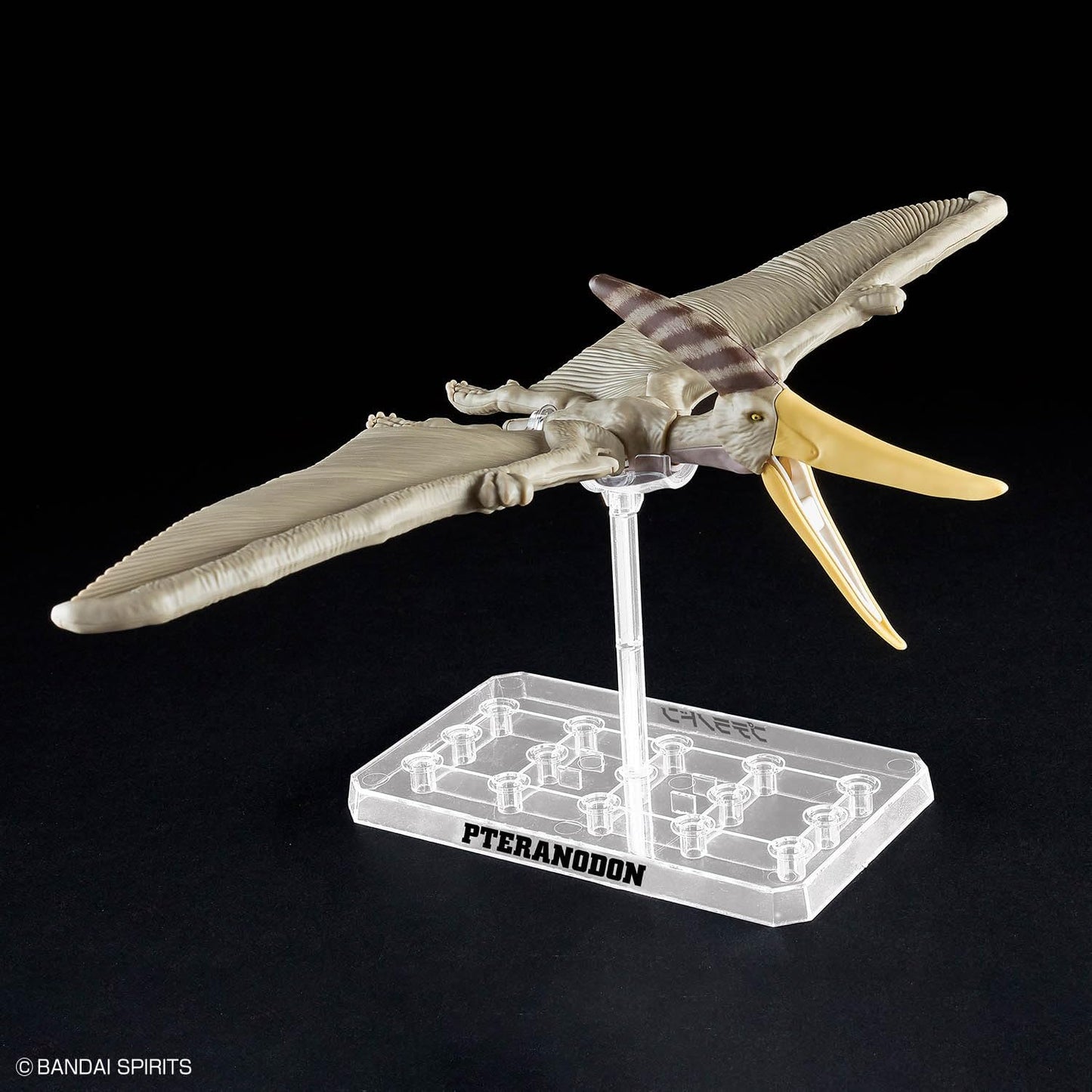 Bandai Spirits Planosaurus Land and Sea Dinosaur Set, Color Coded Plastic Model
