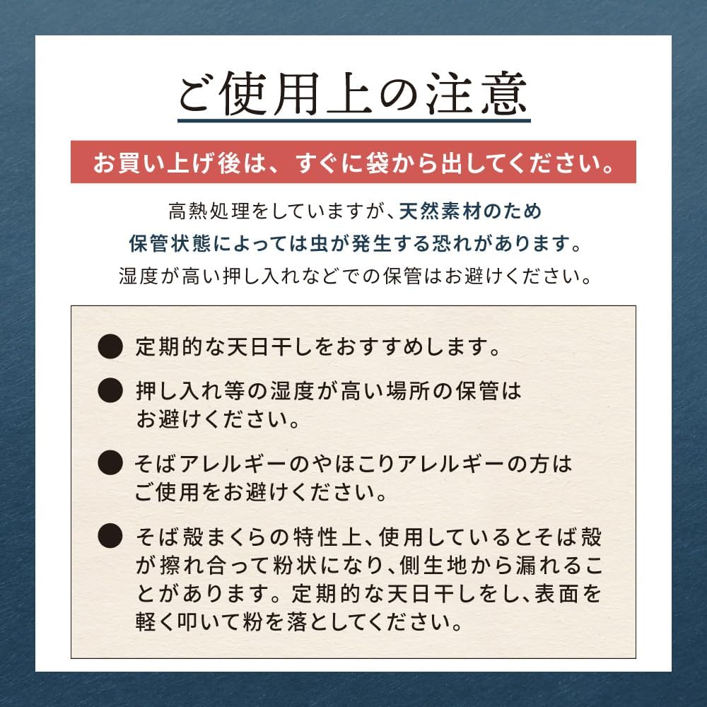 MORIPiLO 4621348 Morishita Buckwheat Hull Pillow, Made in Japan, Blue, 13.8 x 19.7 inches (35 x 50 cm), Washable Cover, Japanese Pattern, 100% Cotton Material